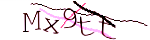 Enter the character string shown in the picture