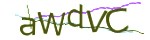 Enter the character string shown in the picture