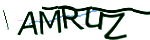 Enter the character string shown in the picture