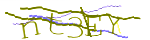 Enter the character string shown in the picture